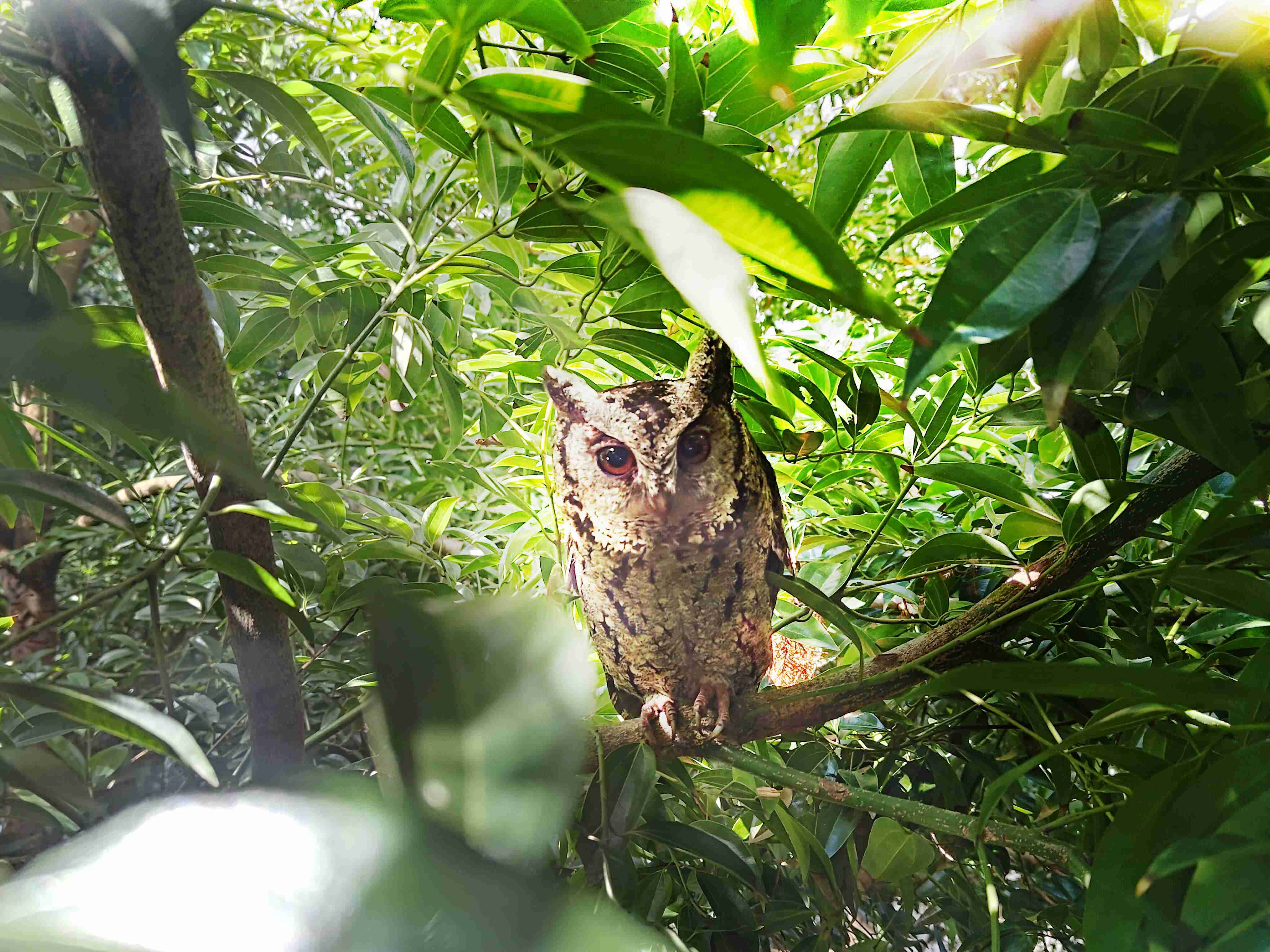 尊龙集团致力提倡净零绿生活，，，16年以来在全球各厂区植树逾百万棵，，，，造就各厂区树木蔚然成林，，，，犹如森林工厂，，，，成为许多生物的栖息地